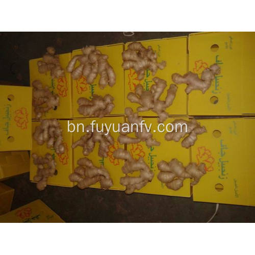 এয়ার শুকনো আদা 200g এবং আপ